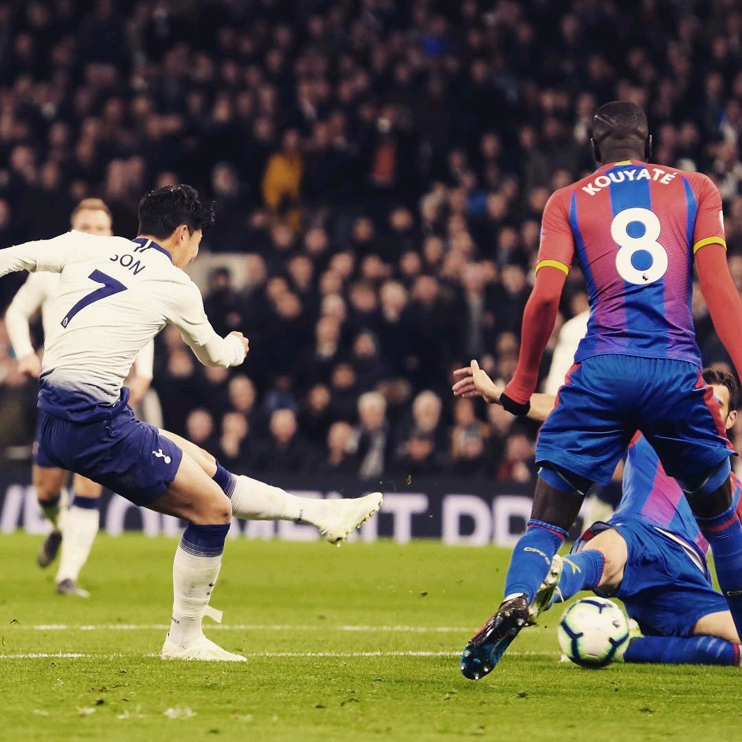 很多球迷或 很多球迷或